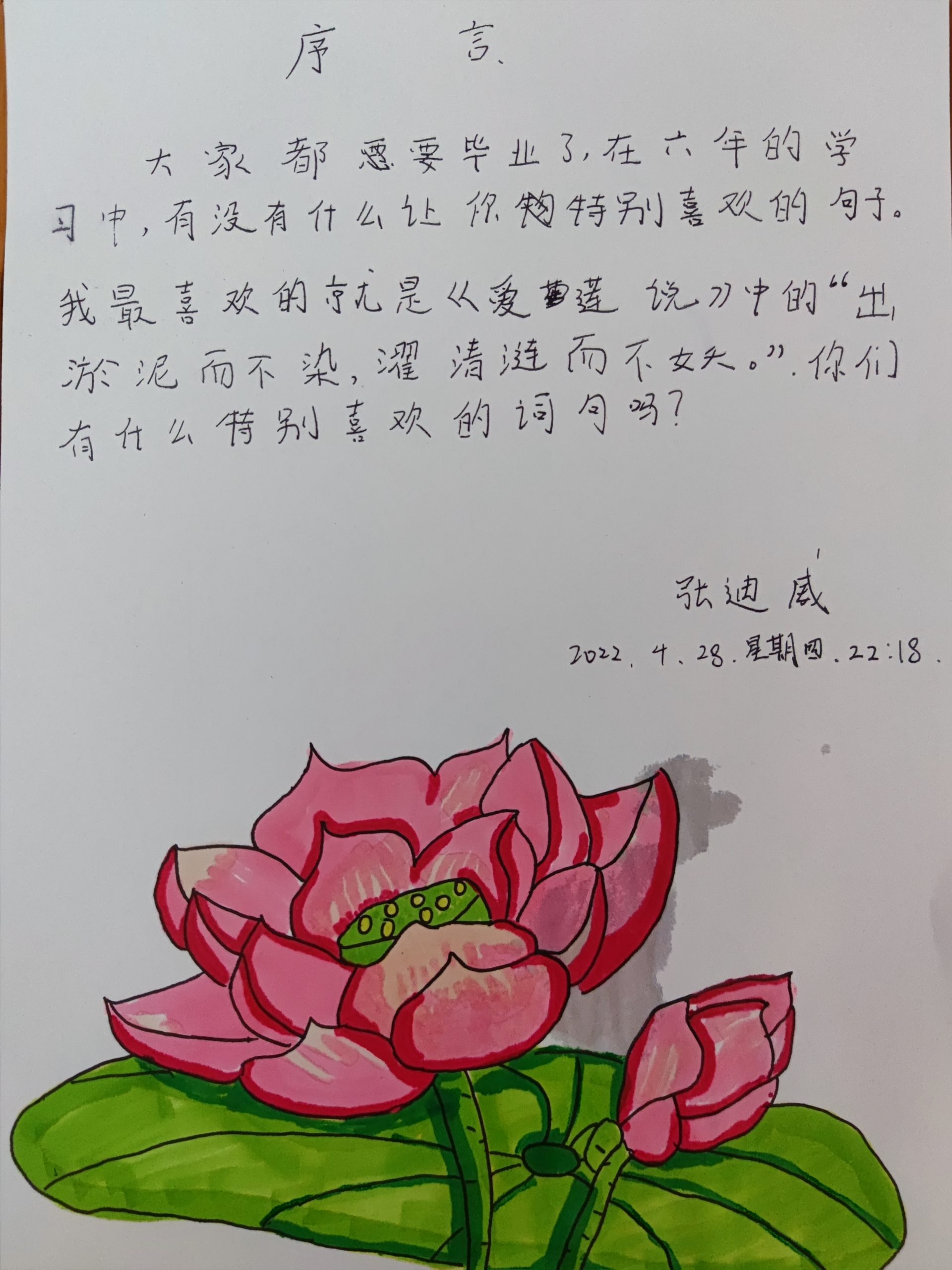 迪威作品